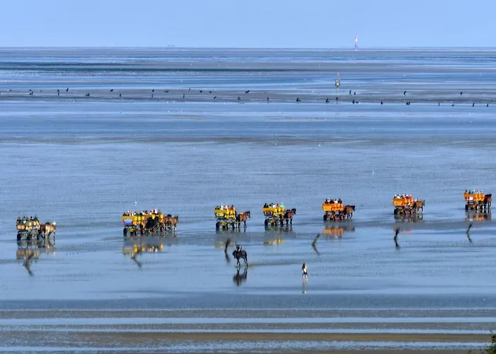 Strandhochhaus Shh9 Lägenhet